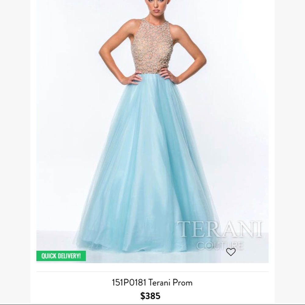 Size 6 Terani Evening Gown Worn only once